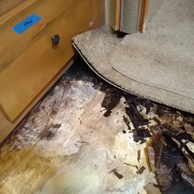 Wood Floor Water Damage in Houston County, AL